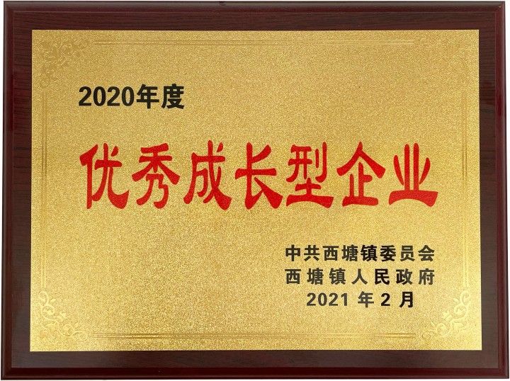 优秀成长型企业