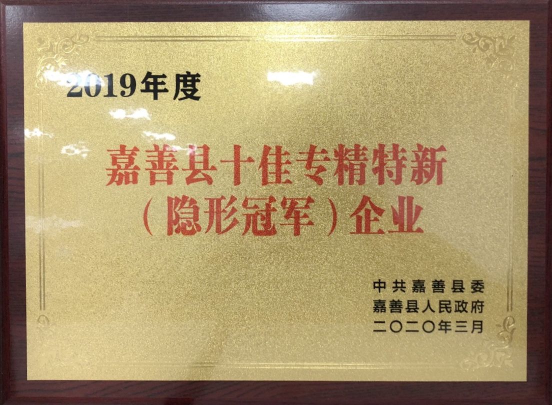 十佳专精特新（隐形冠军）企业