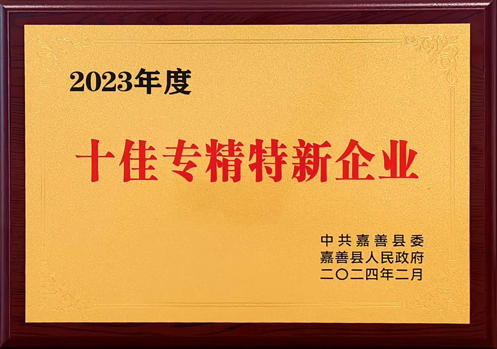 2023年度十佳专精特新企业