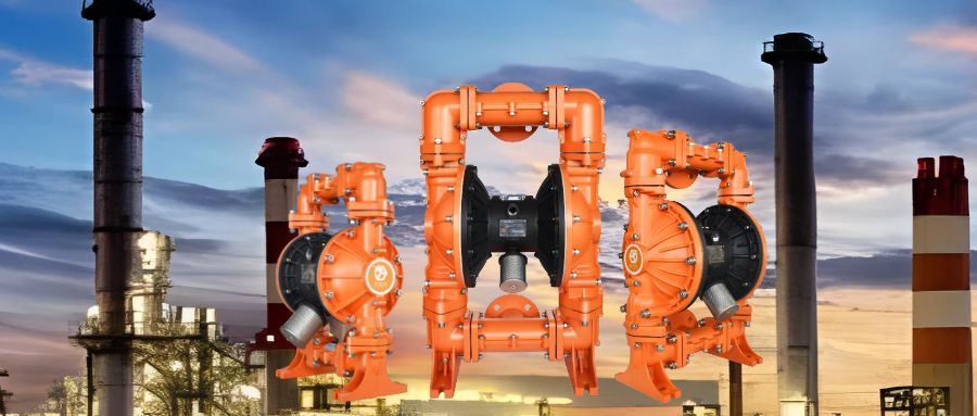 1711505842-2818.jpg 1711505842-2818.jpg