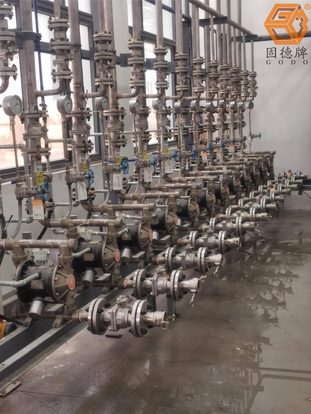 1715906647-8150.jpg 1715906647-8150.jpg