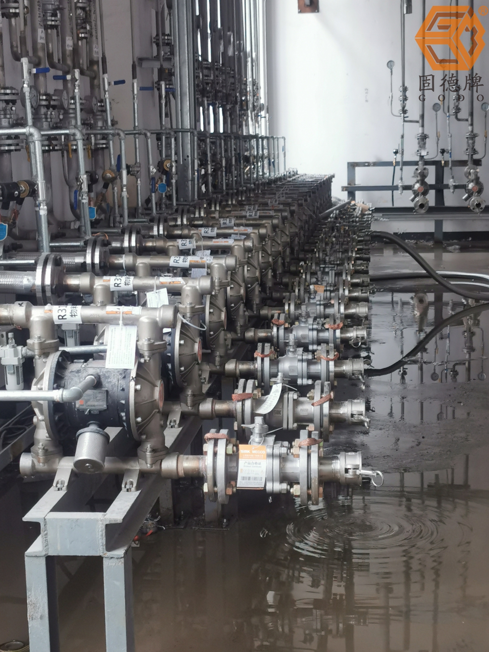 1715906784-2867.jpg 1715906784-2867.jpg