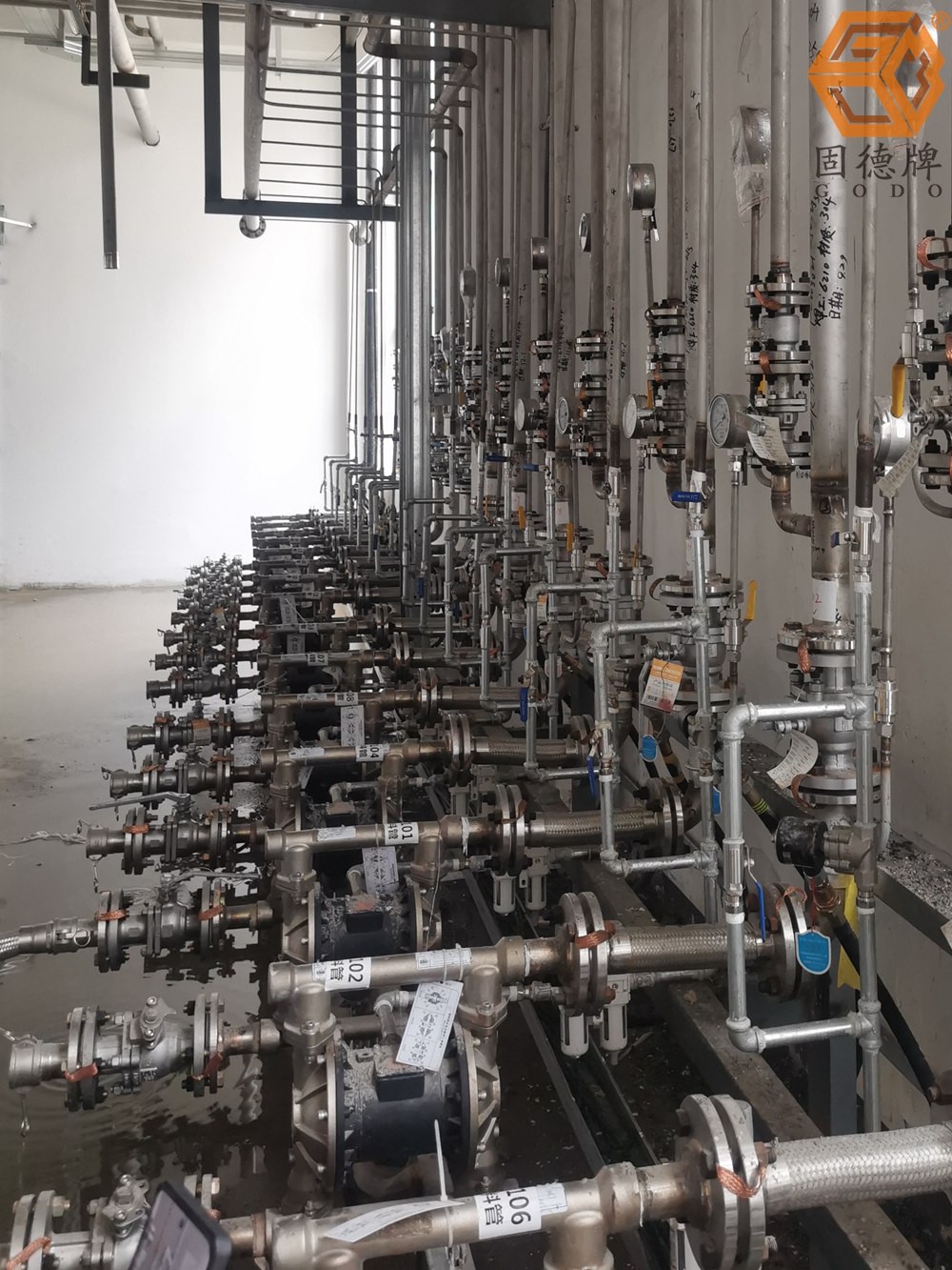 1715907570-5704.jpg 1715907570-5704.jpg