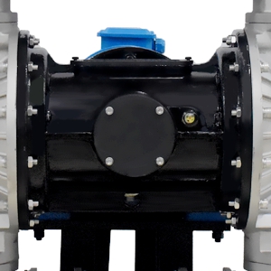 1717479845-2033.jpg 1717479845-2033.jpg