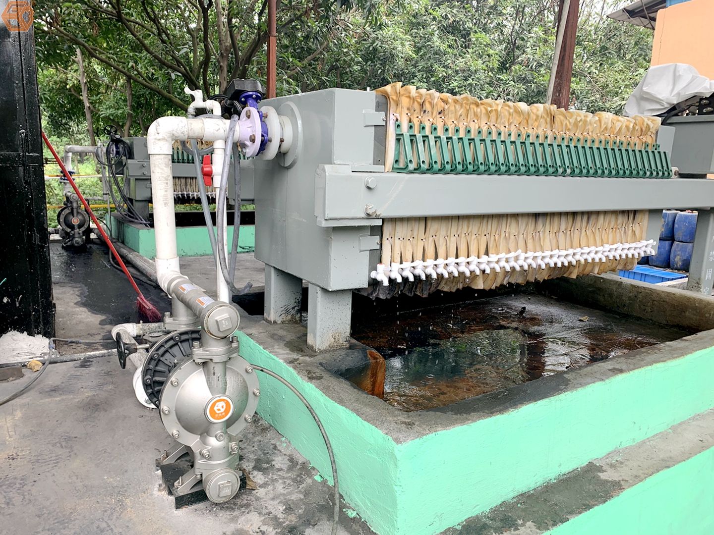 1717722574-7531.jpg 1717722574-7531.jpg