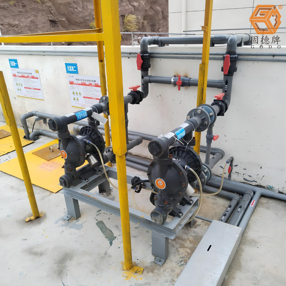 IMG_20240123_164128 IMG_20240123_164128