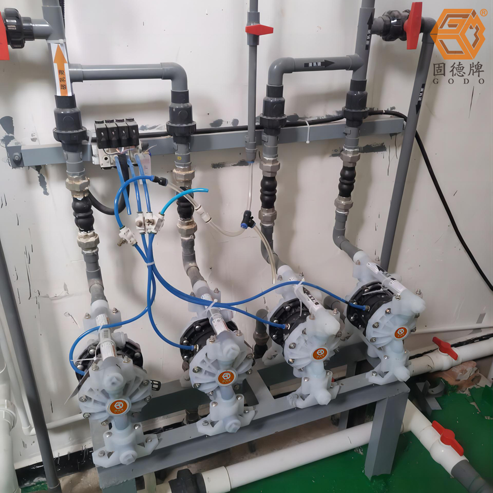 1718676239-9681.jpg 1718676239-9681.jpg