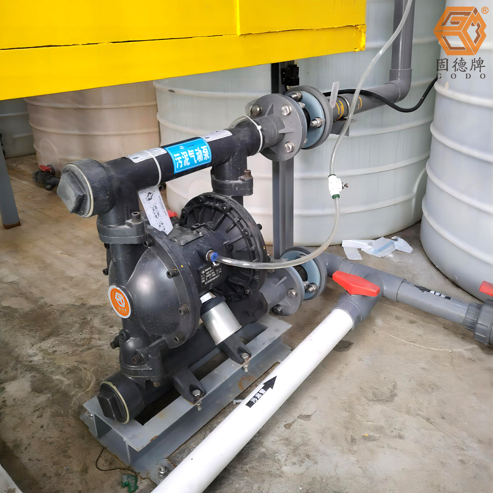 1718676887-2442.jpg 1718676887-2442.jpg