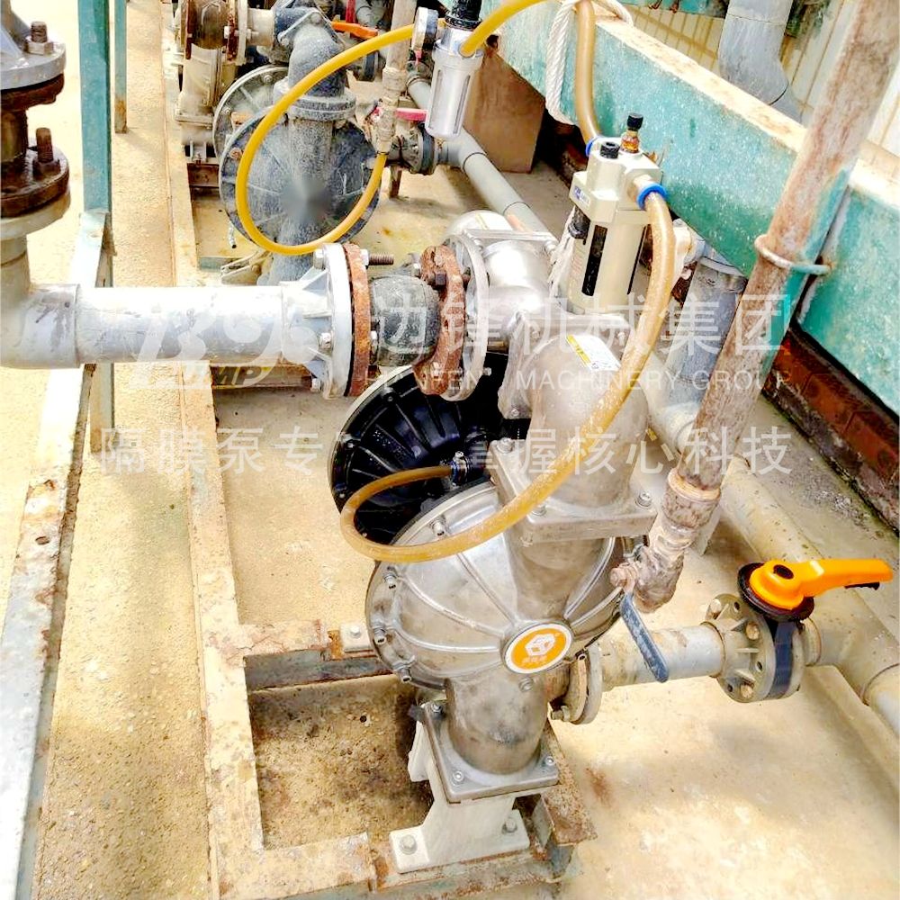 1718760379-3253.jpg 1718760379-3253.jpg