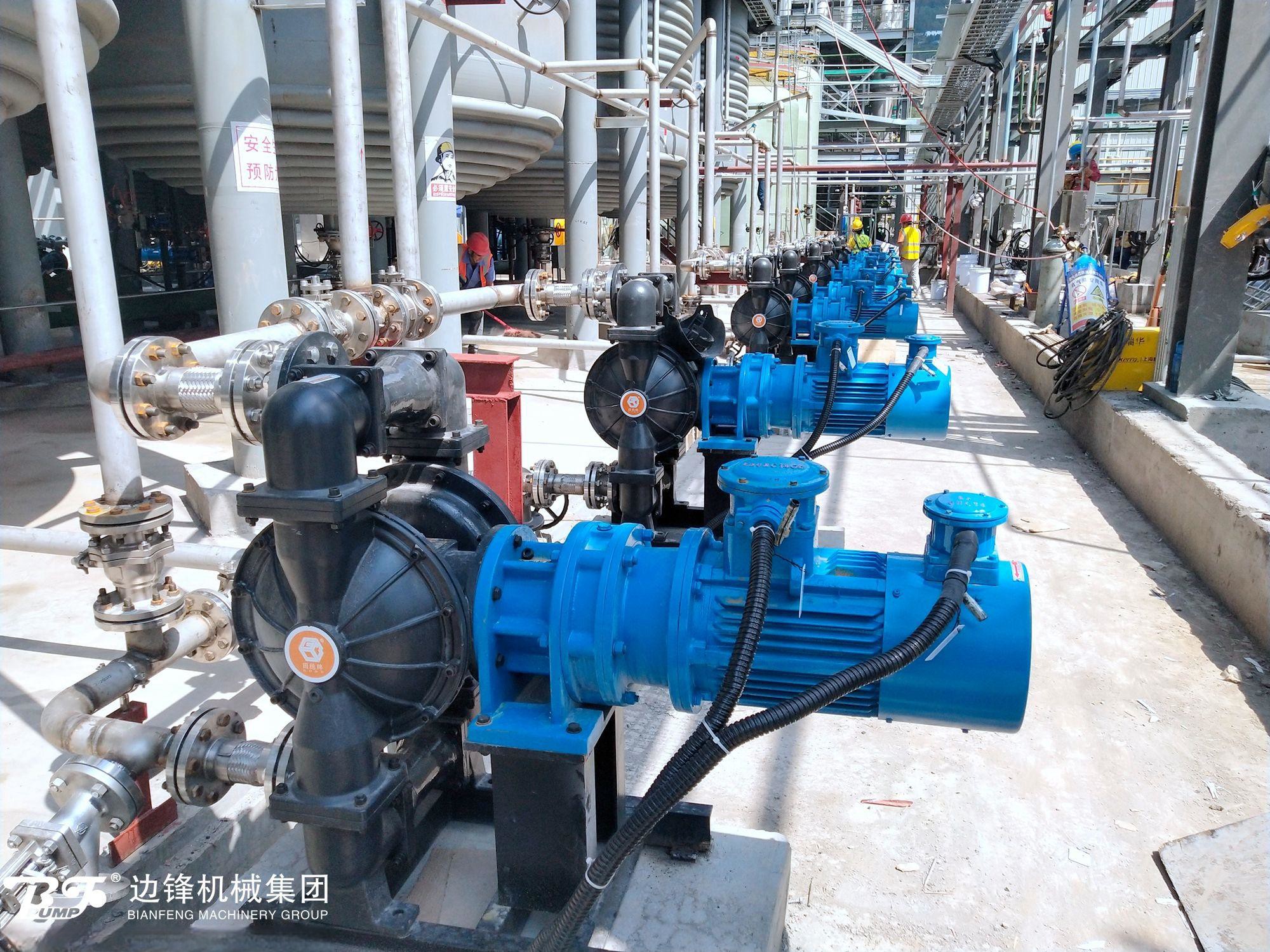 1720662835-3341.jpg 1720662835-3341.jpg