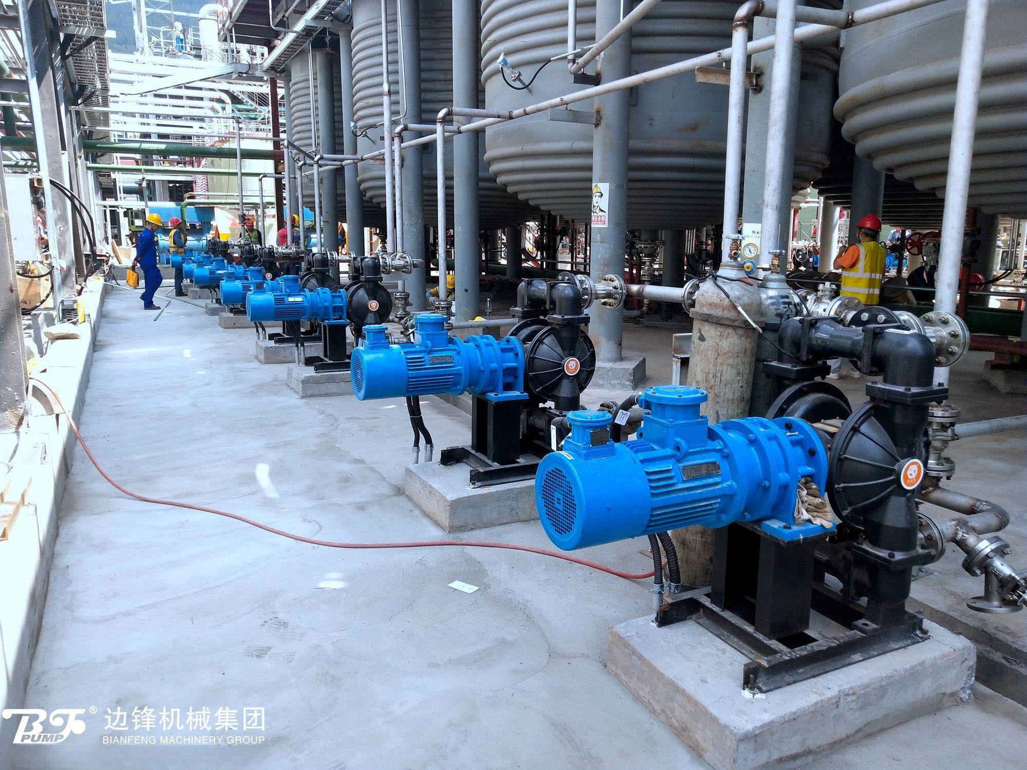 1721956661-7531.jpg 1721956661-7531.jpg