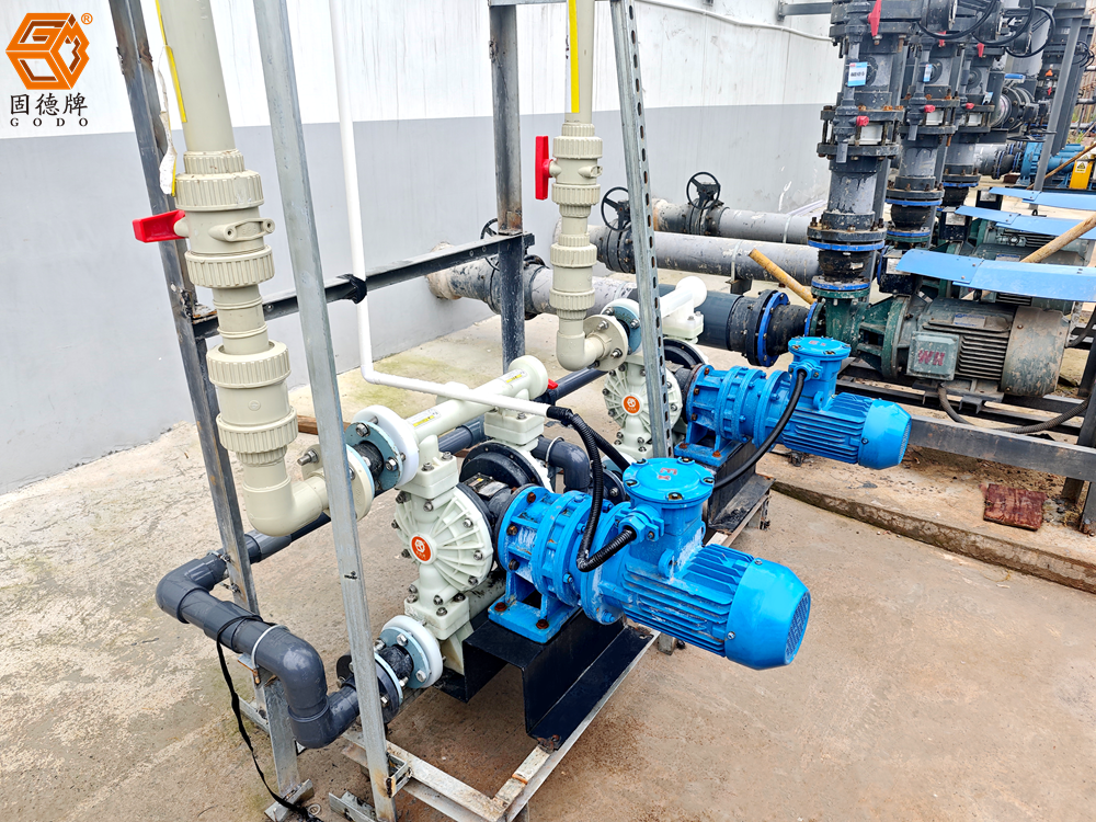 1724643145-7040.png 1724643145-7040.png