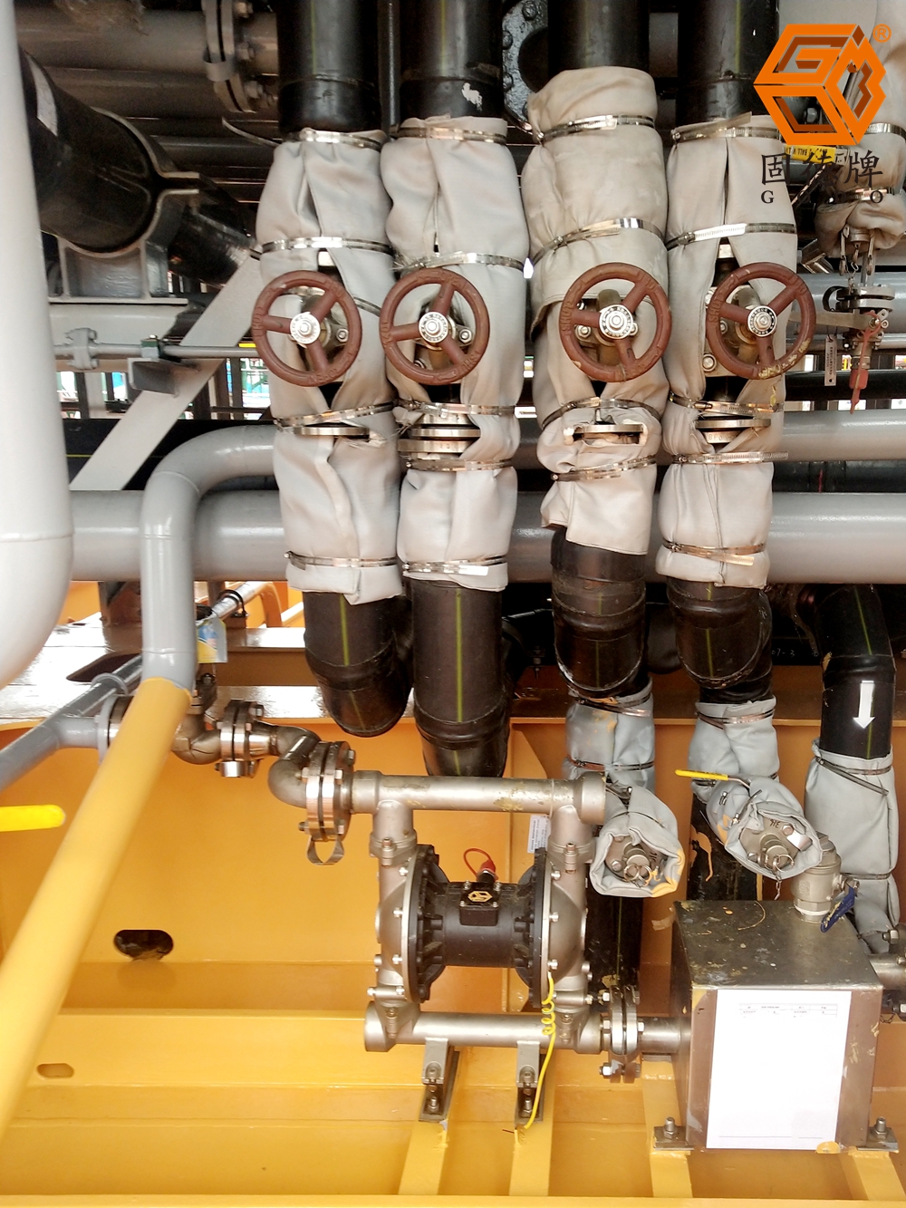 IMG_20240605_140503 IMG_20240605_140503