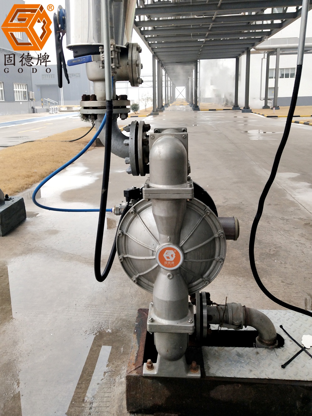 IMG_20240119_150539 IMG_20240119_150539