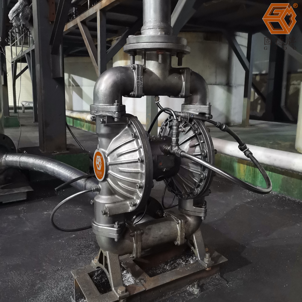 IMG_20240305_080143(1) IMG_20240305_080143(1)