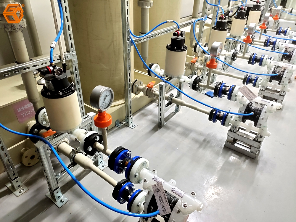 IMG_20240704_134457 IMG_20240704_134457