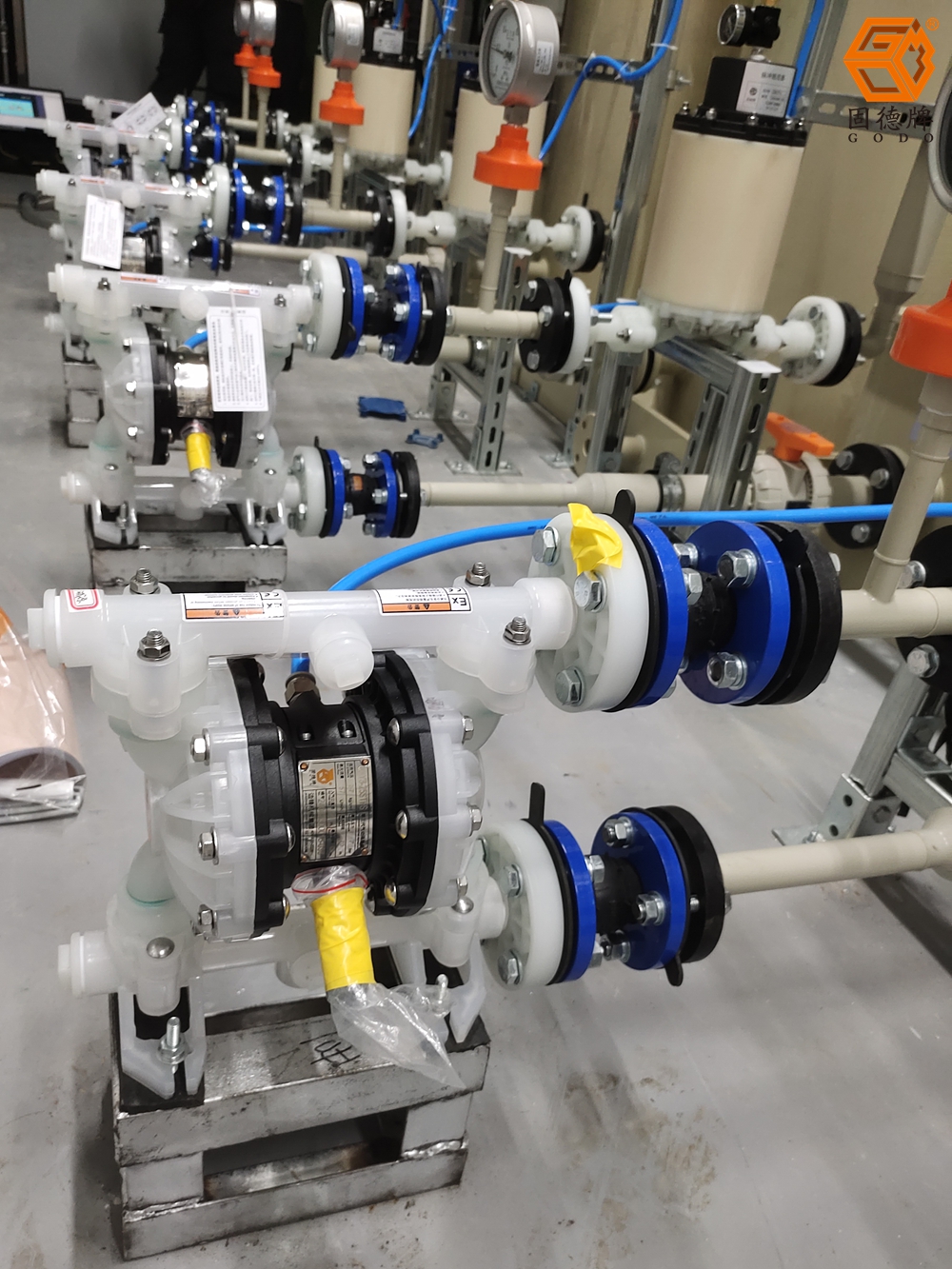 IMG_20240704_134446 IMG_20240704_134446